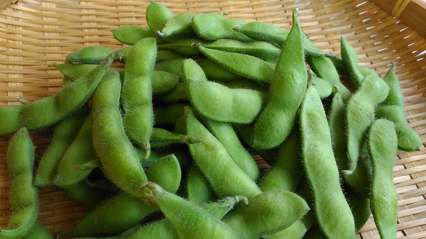枝豆